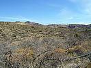 photo thumbnail #4