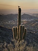2019-06-24 :2: Pyramid Trail - South Mountain :: LindaAnn