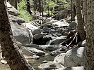 photo thumbnail #2