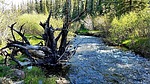 photo thumbnail #11