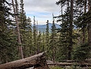 photo thumbnail #4
