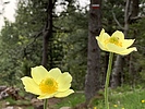 photo thumbnail #15