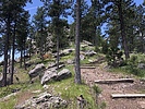photo thumbnail #3