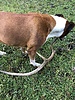 photo thumbnail #4