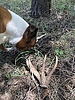 photo thumbnail #7