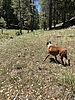 photo thumbnail #6