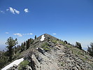 photo thumbnail #4