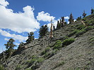photo thumbnail #15
