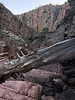 photo thumbnail #2
