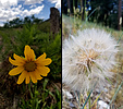 photo thumbnail #14