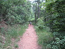 photo thumbnail #1