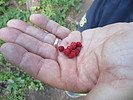 photo thumbnail #2