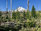 2019-06-30 :2: Cooper Spur Trail #600B :: Lucyan