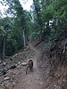 photo thumbnail #1