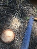 photo thumbnail #13