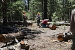 photo thumbnail #6