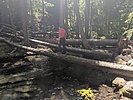 photo thumbnail #1