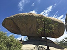 recent photo