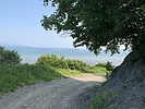 photo thumbnail #1