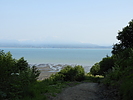 photo thumbnail #3