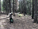 photo thumbnail #2