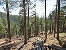 photo thumbnail #3