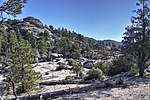 photo thumbnail #11