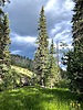 photo thumbnail #14