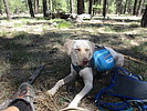 photo thumbnail #10
