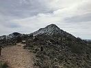 recent photo