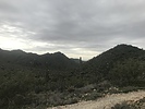 recent photo
