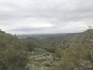 recent photo