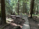 photo thumbnail #9