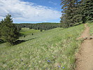 photo thumbnail #1