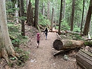 photo thumbnail #1