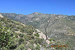 photo thumbnail #5