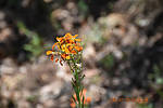 photo thumbnail #14