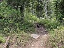 photo thumbnail #6