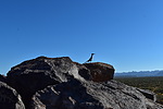 photo thumbnail #13
