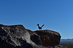 photo thumbnail #14
