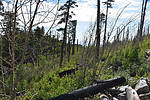 photo thumbnail #6