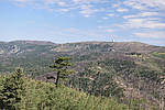 photo thumbnail #10