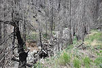 photo thumbnail #6
