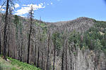 photo thumbnail #8