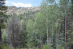 photo thumbnail #9