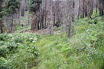 photo thumbnail #10