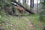 photo thumbnail #13