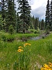 photo thumbnail #10