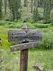 photo thumbnail #15