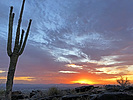 photo thumbnail #1